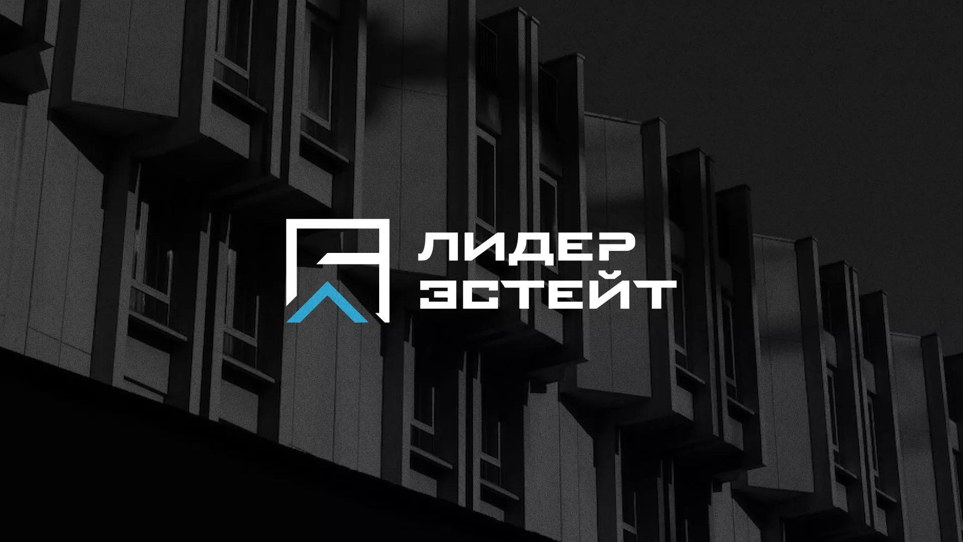 Разработка логотипа агентства недвижимости «Лидер Эстейт» в Железноводске